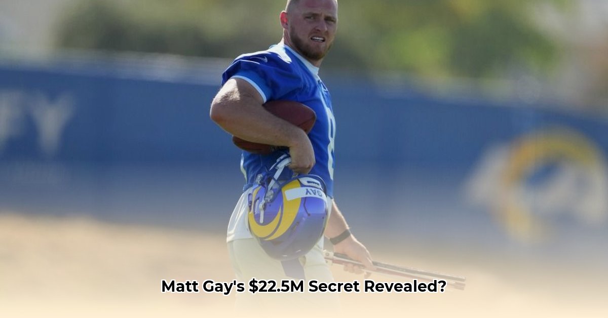 matt-gay-net-worth